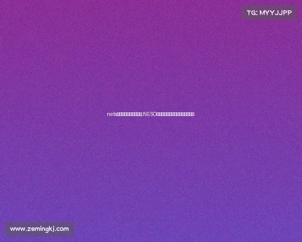 nets电子竞技大赛在哪举行;NESO全国电竞总决赛在晋江五店市开幕