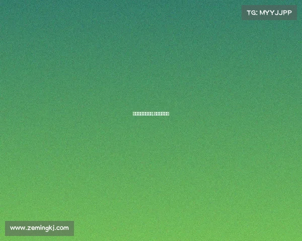 电子竞技汽车比赛,电子竞技大赛